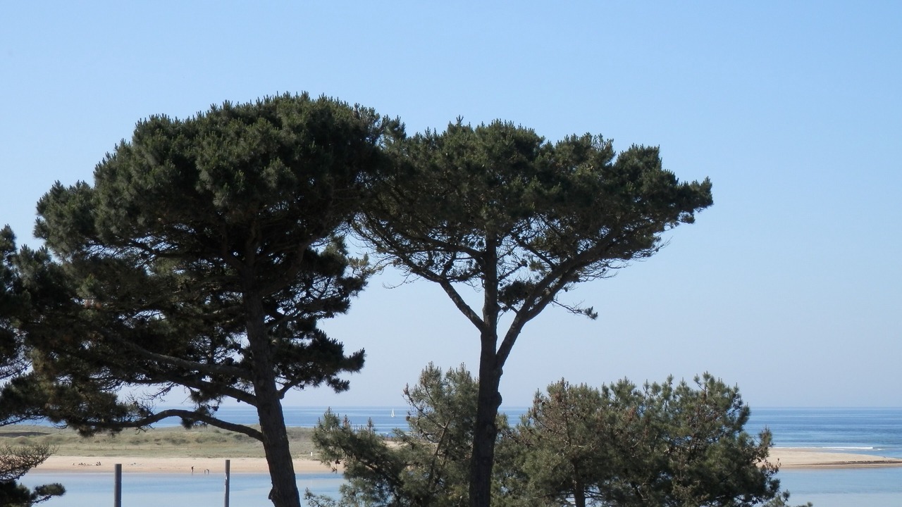 Photo of Others in Guidel-Plages