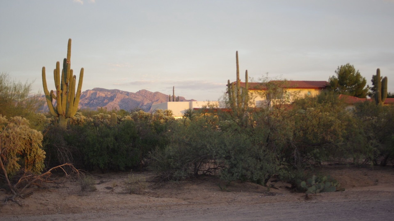 Photo of Others in Tortolita