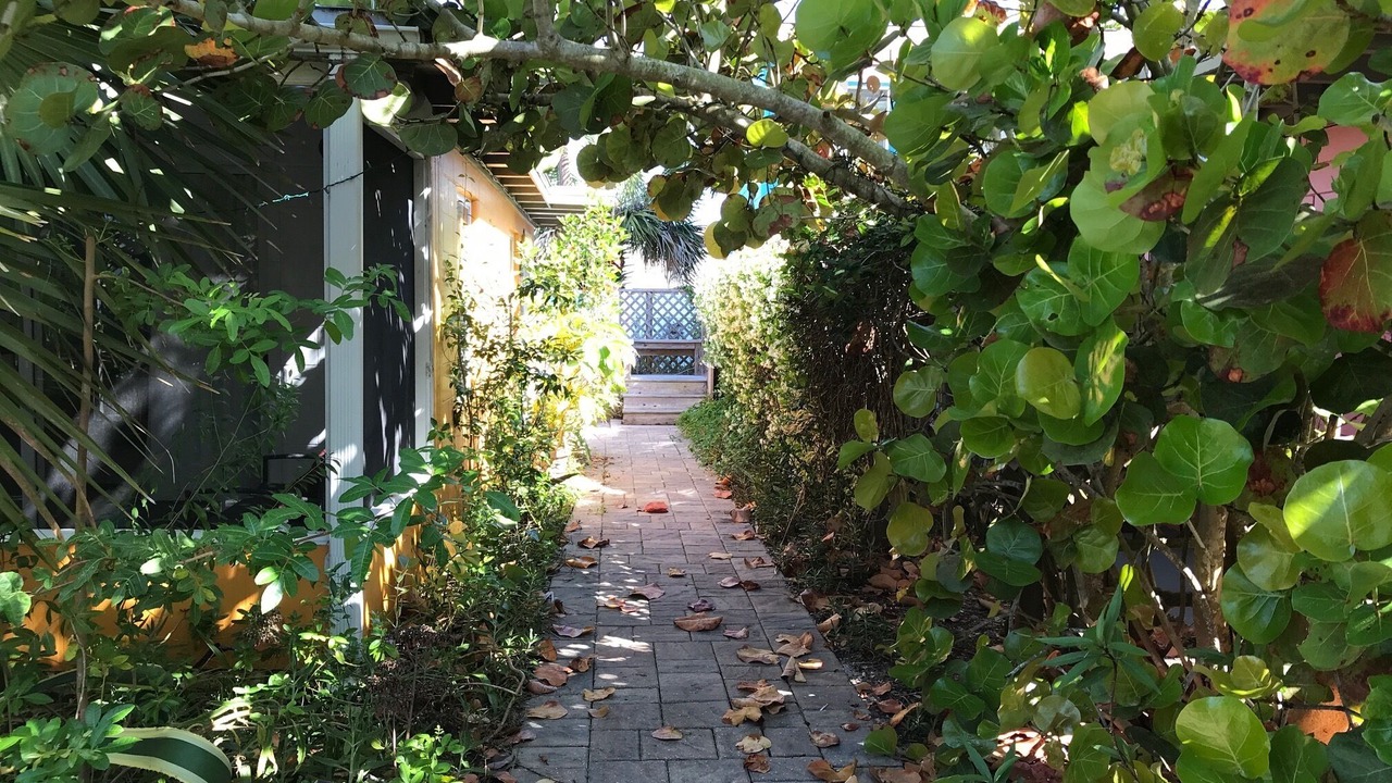 Photo of Others in Flagler Beach