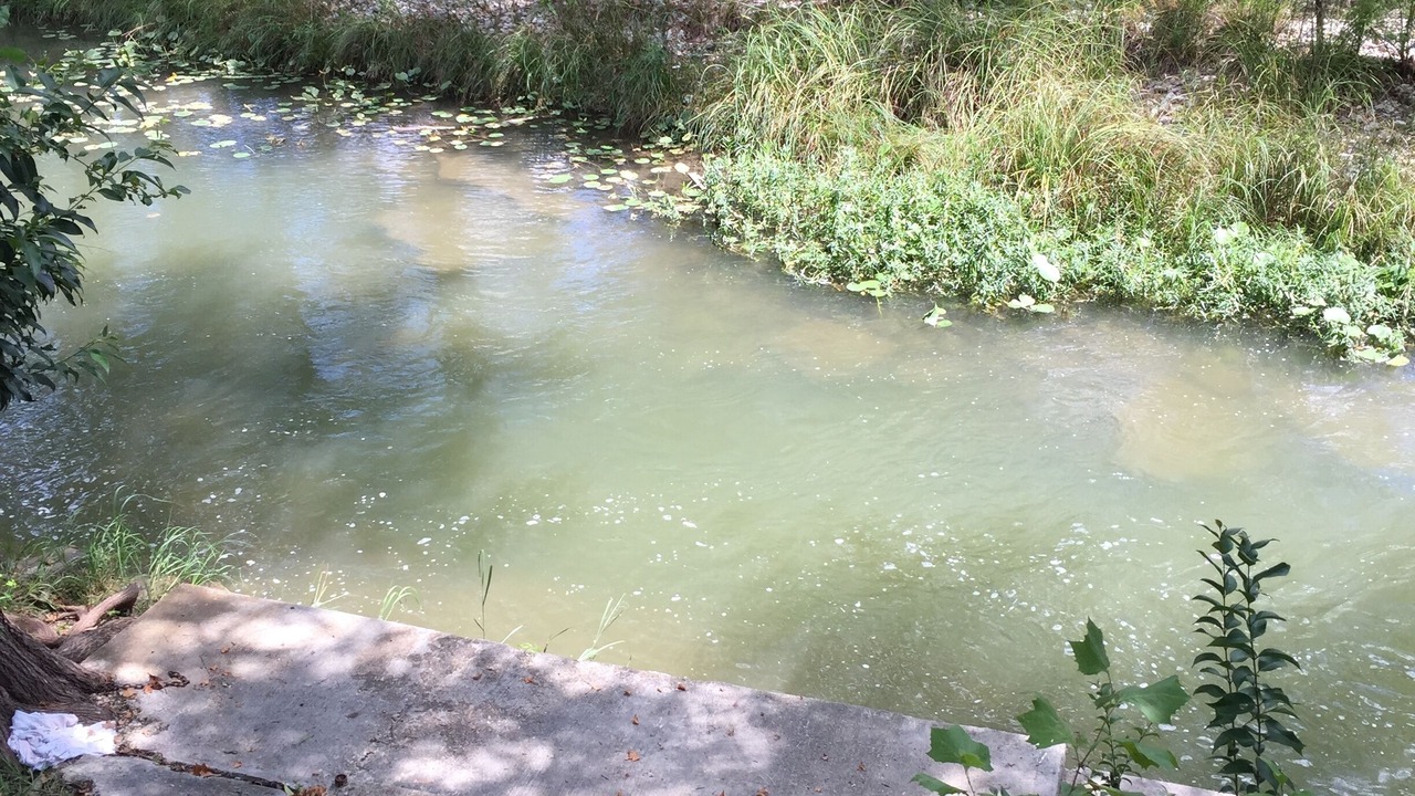 Photo of Outdoor in Hunt