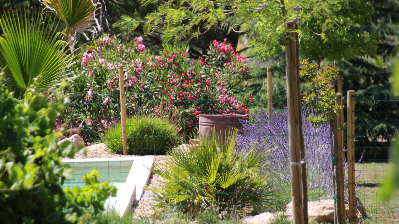 Photo of Outdoor in Le Pouget