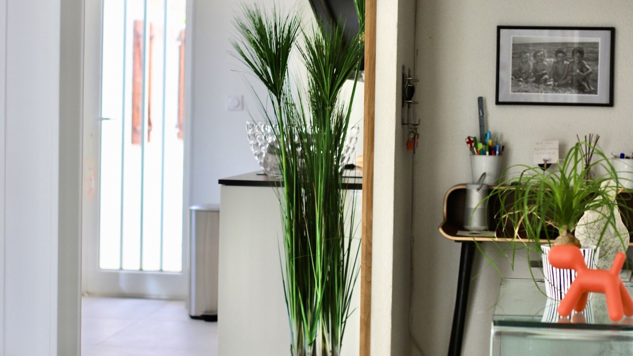 Photo of Others in Le Barcares