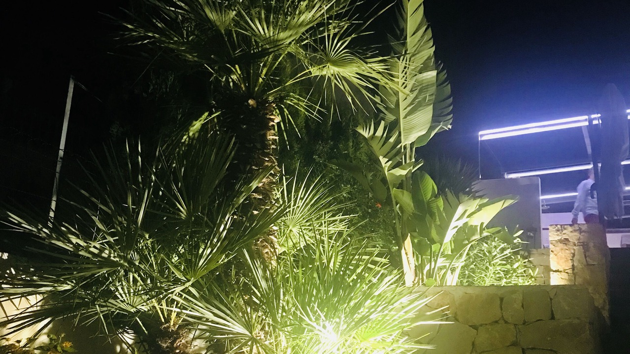 Photo of Outdoor in Denia
