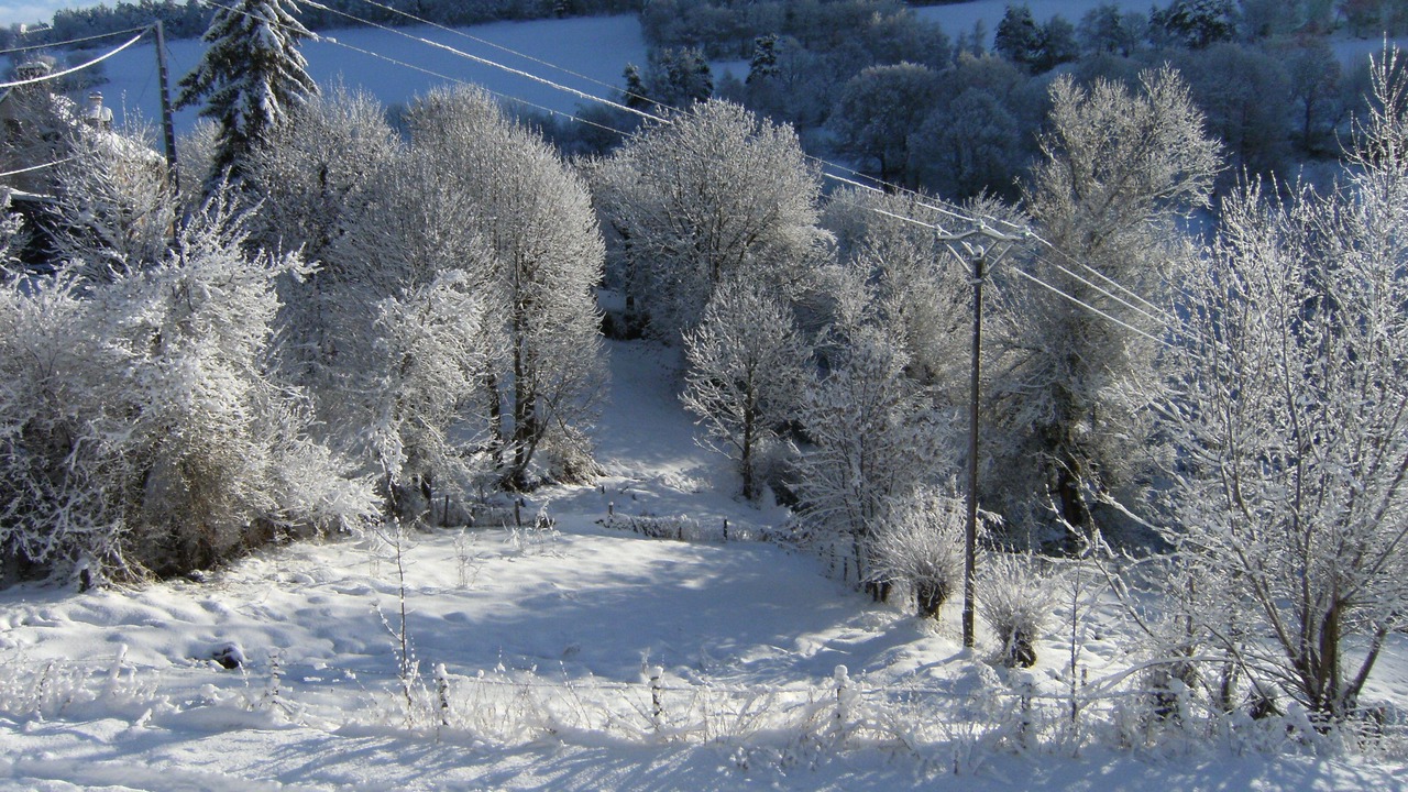 Photo of Others in Saint-Leger-de-Peyre