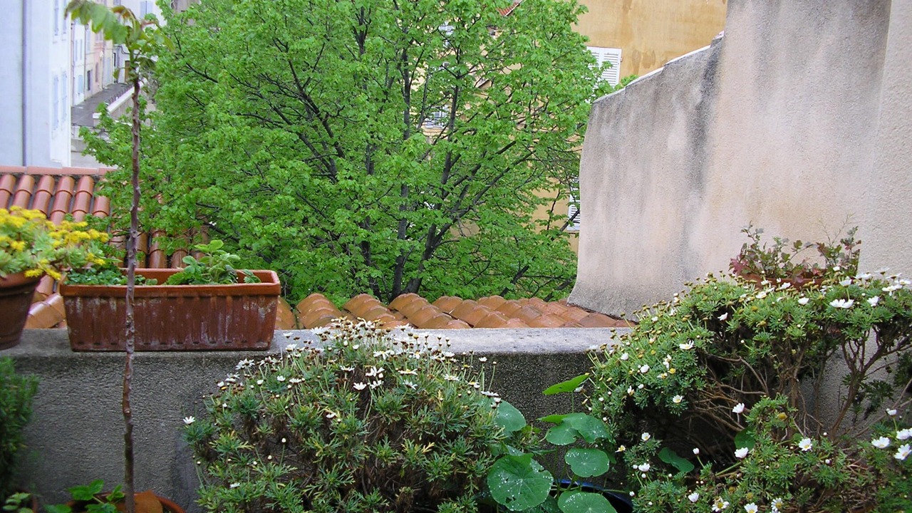 Photo of Outdoor in Quartier du Panier