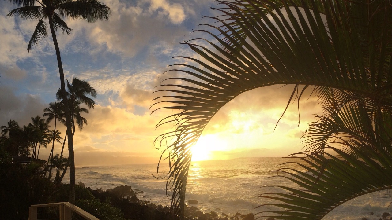 Photo of Others in Pupukea