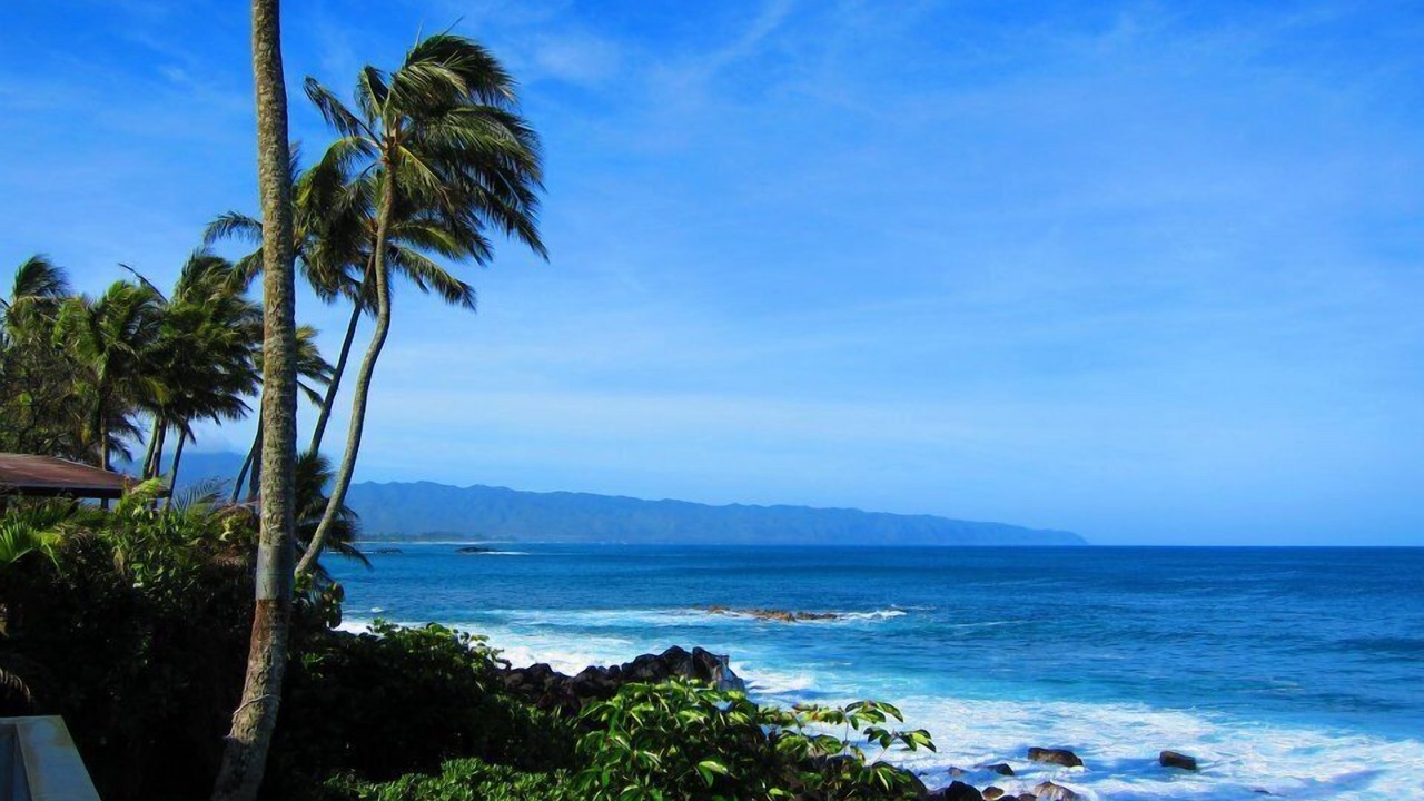 Photo of Others in Pupukea