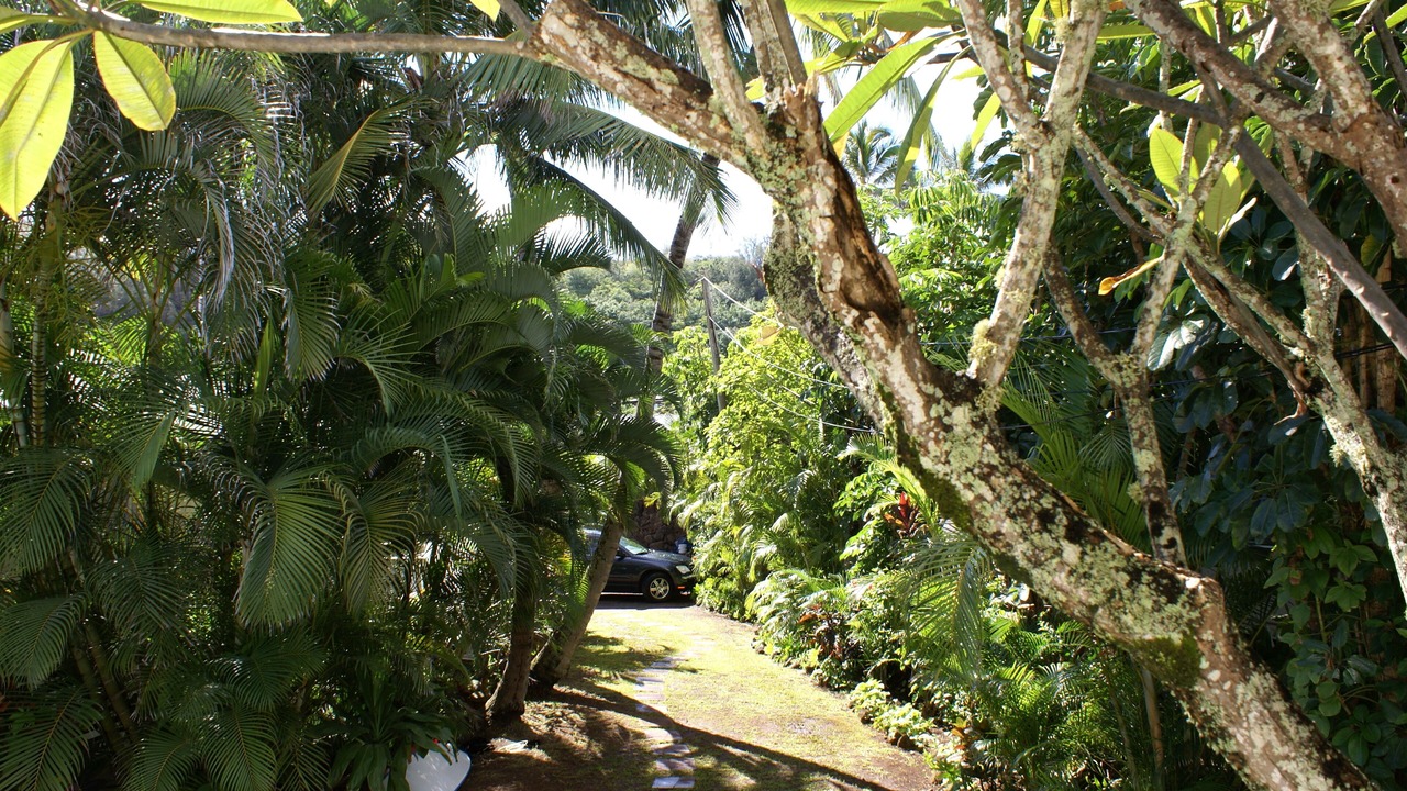 Photo of Outdoor in Pupukea