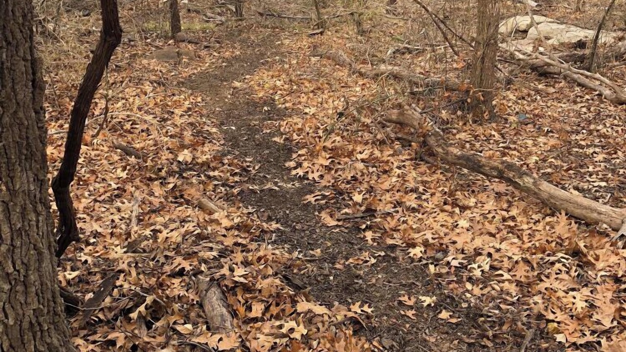 Photo of Others in Hulbert