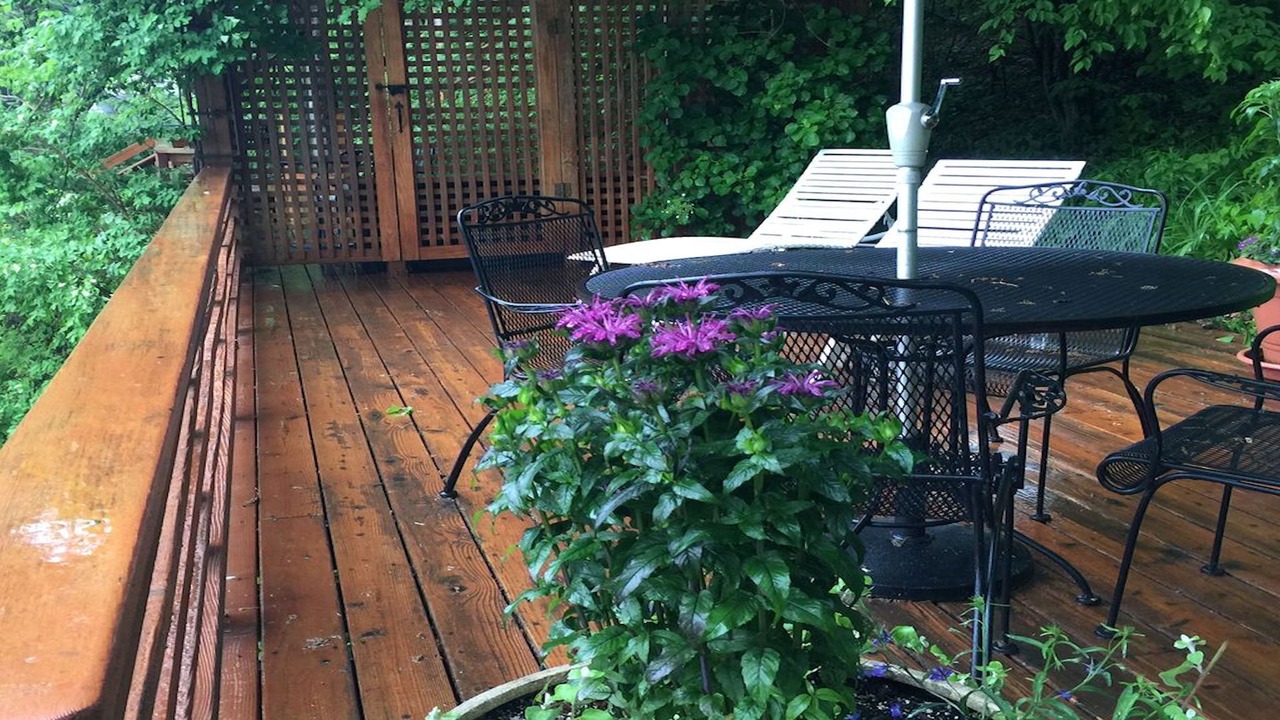 Photo of Others in Red Hook