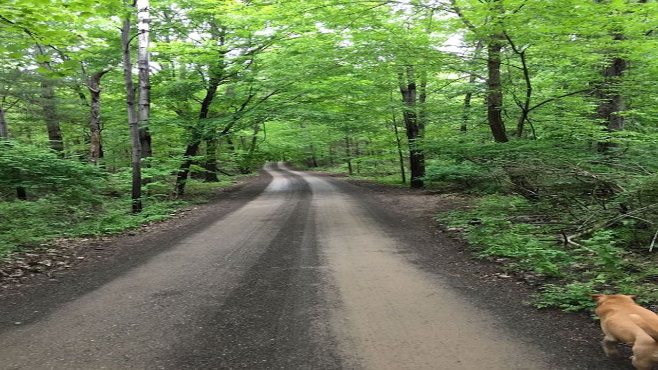 Photo of Others in Red Hook