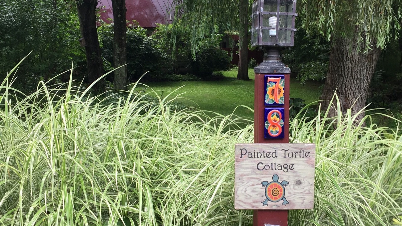 Photo of Others in Red Hook