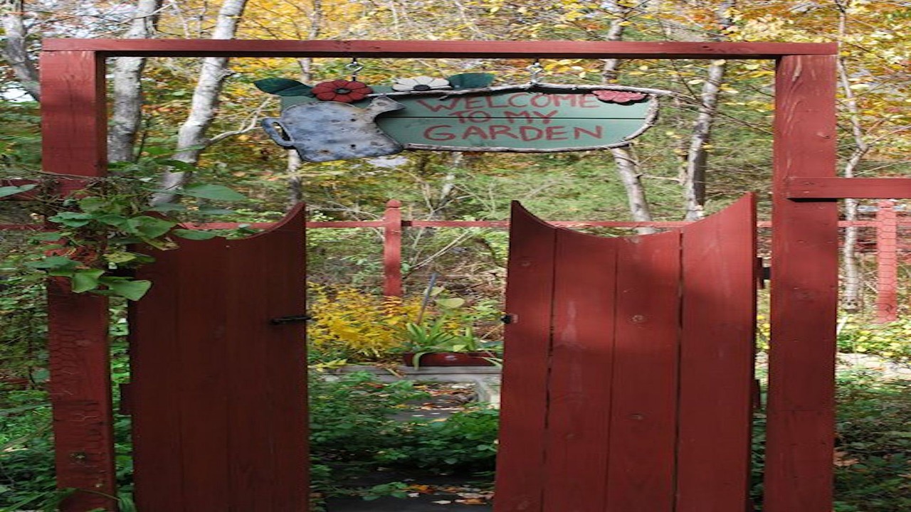 Photo of Outdoor in Red Hook