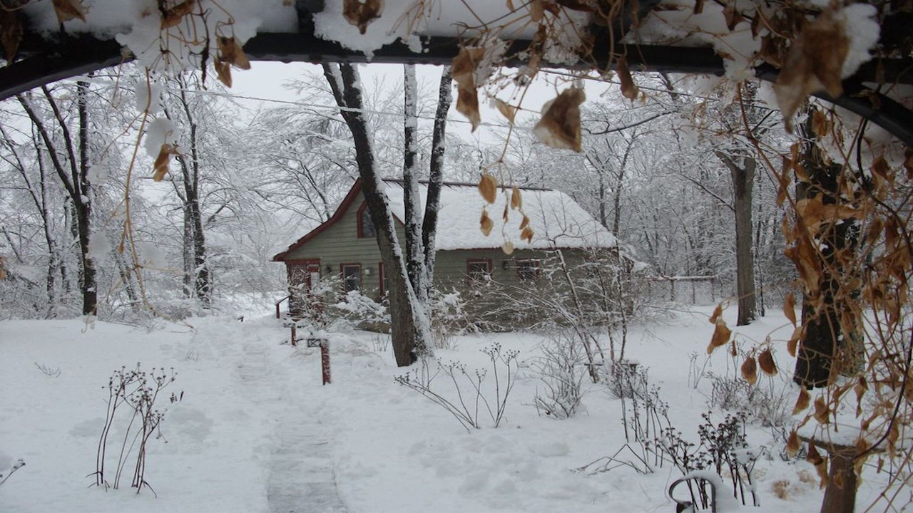 Photo of Others in Red Hook