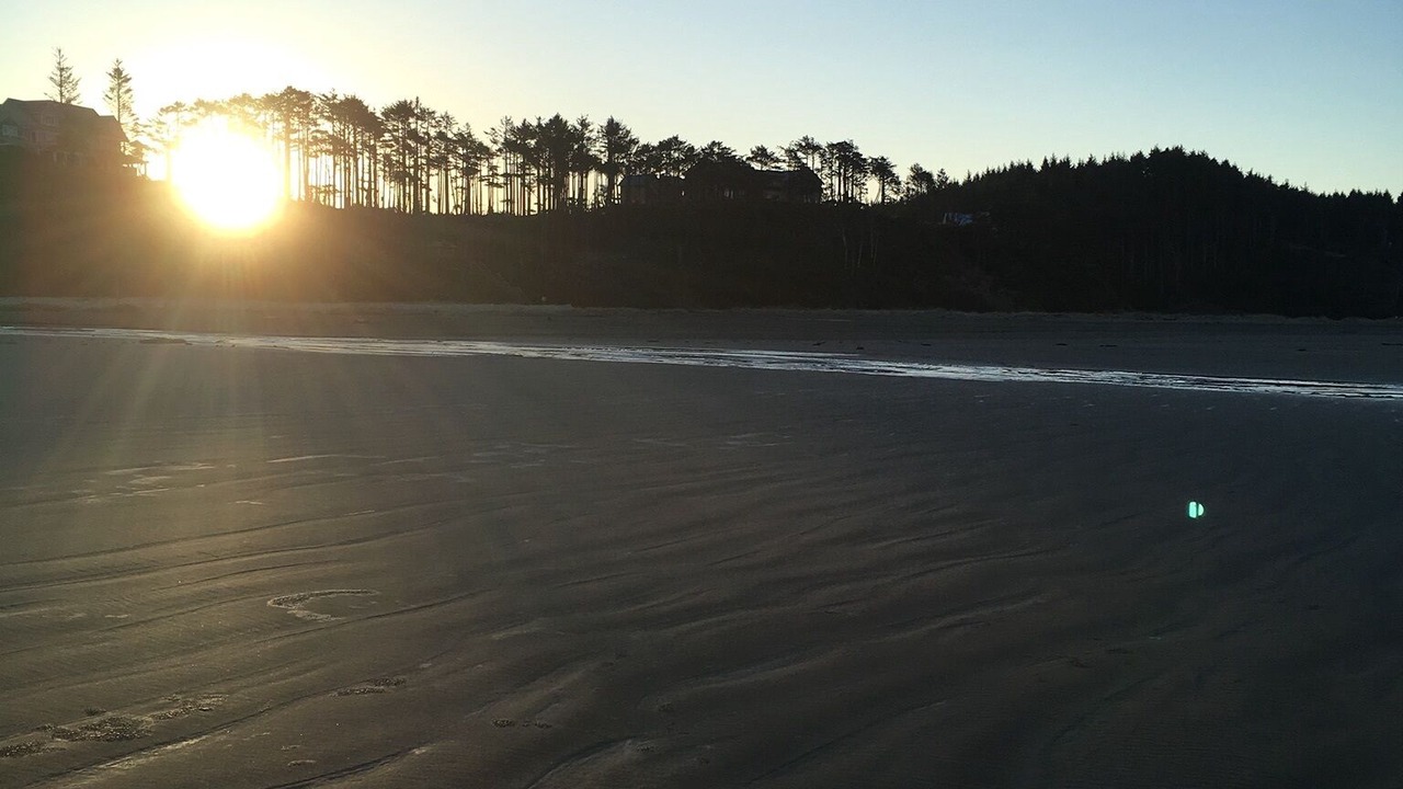 Photo of Others in Seabrook