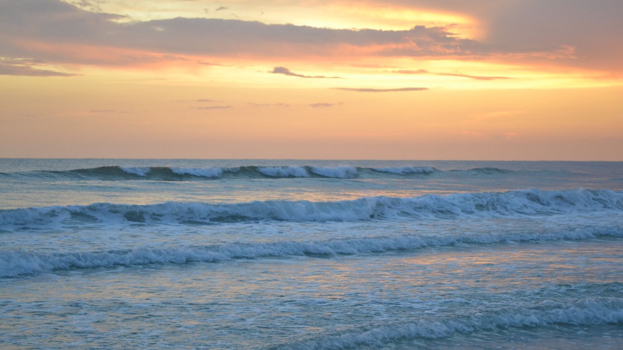 Photo of Others in Siesta Key