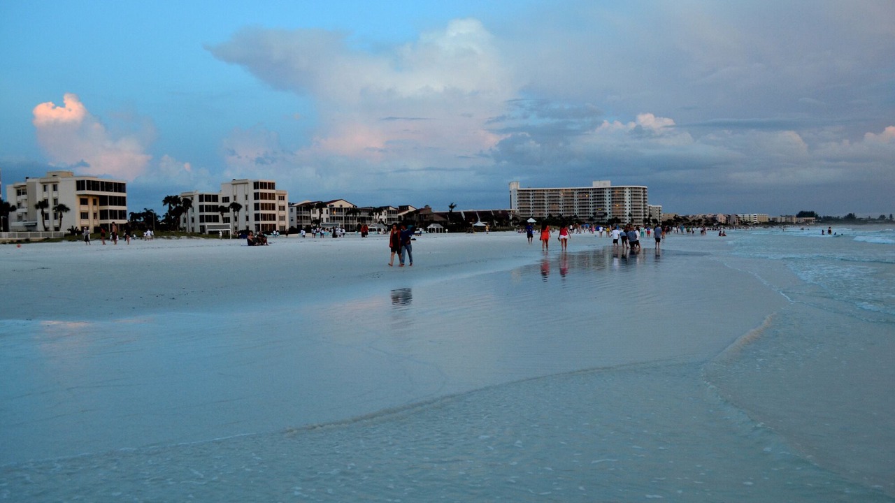 Photo of Others in Siesta Key