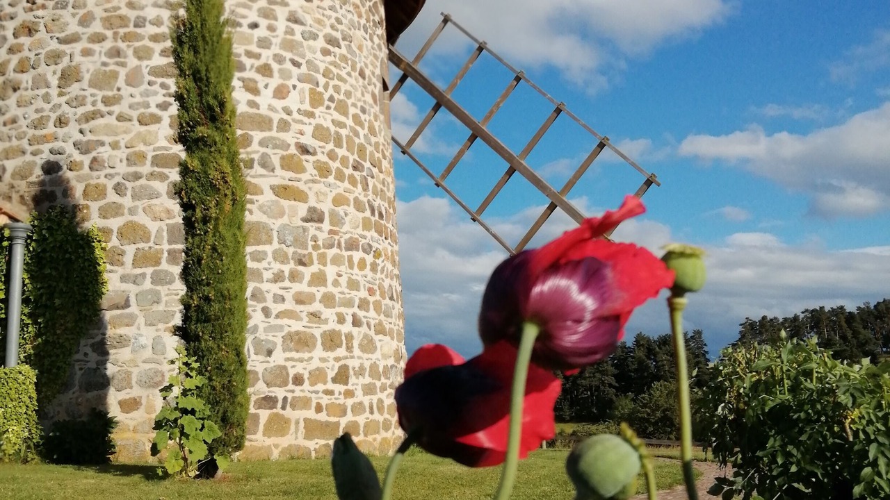Photo of Outdoor in Coren