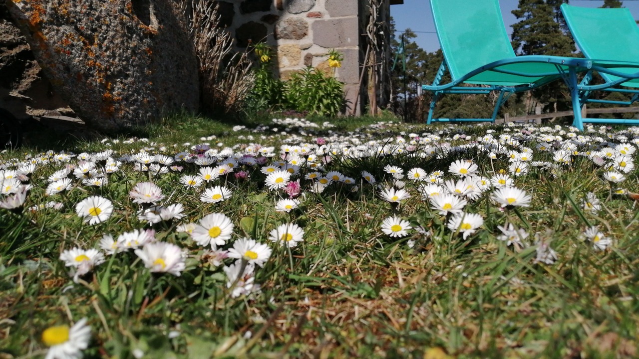 Photo of Outdoor in Coren