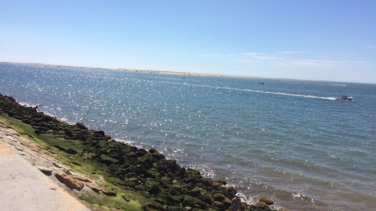 Photo of Others in Sanguinet