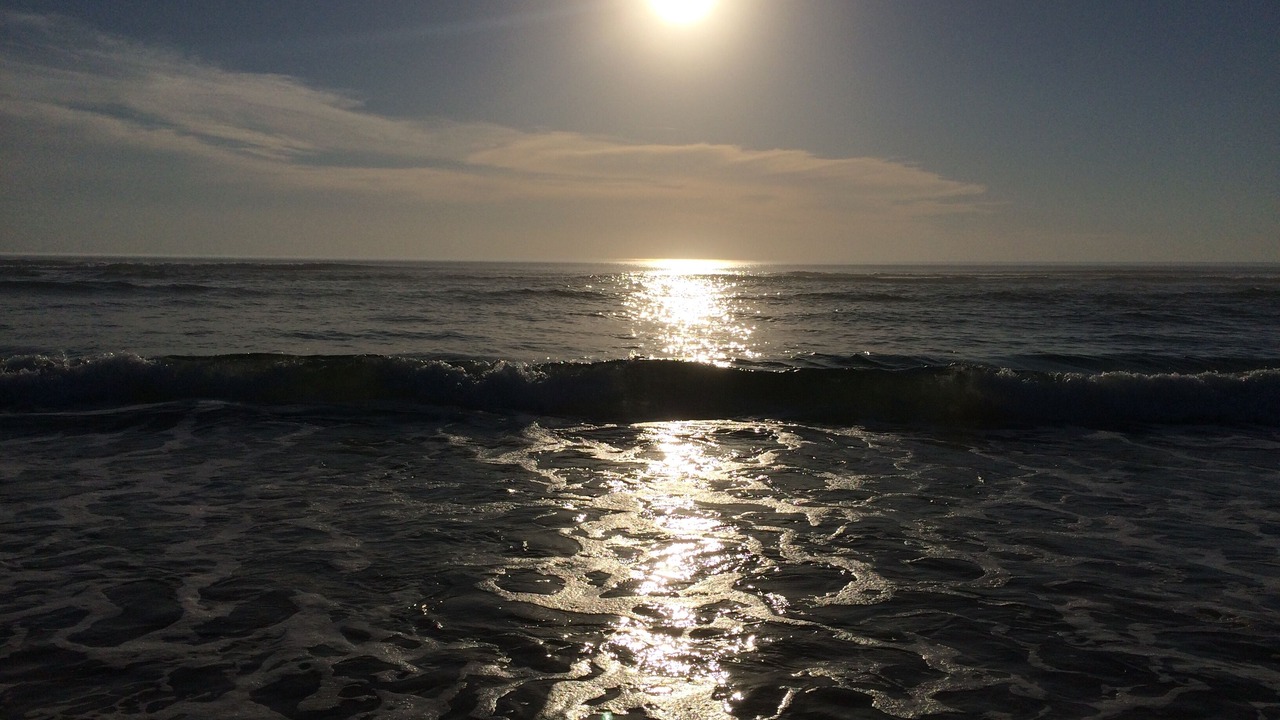 Photo of Others in Sanguinet