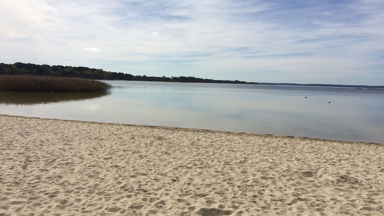 Photo of Others in Sanguinet