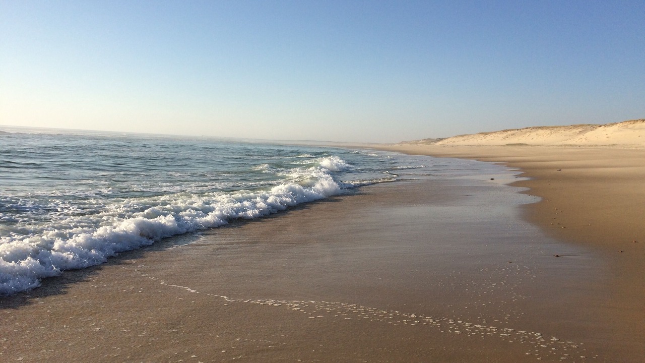 Photo of Others in Sanguinet