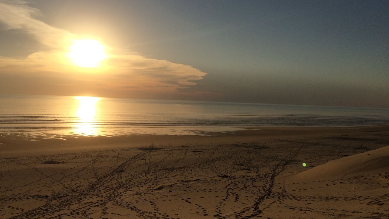 Photo of Others in Sanguinet