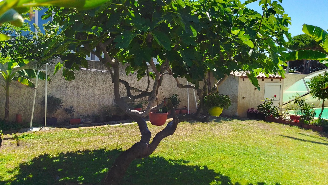 Photo of Outdoor in Perols