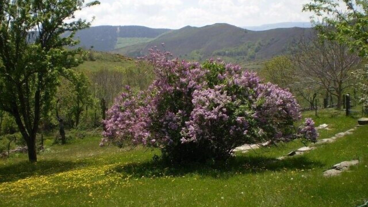 Photo of Outdoor in Prevencheres