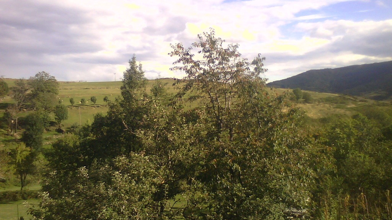 Photo of Outdoor in Prevencheres