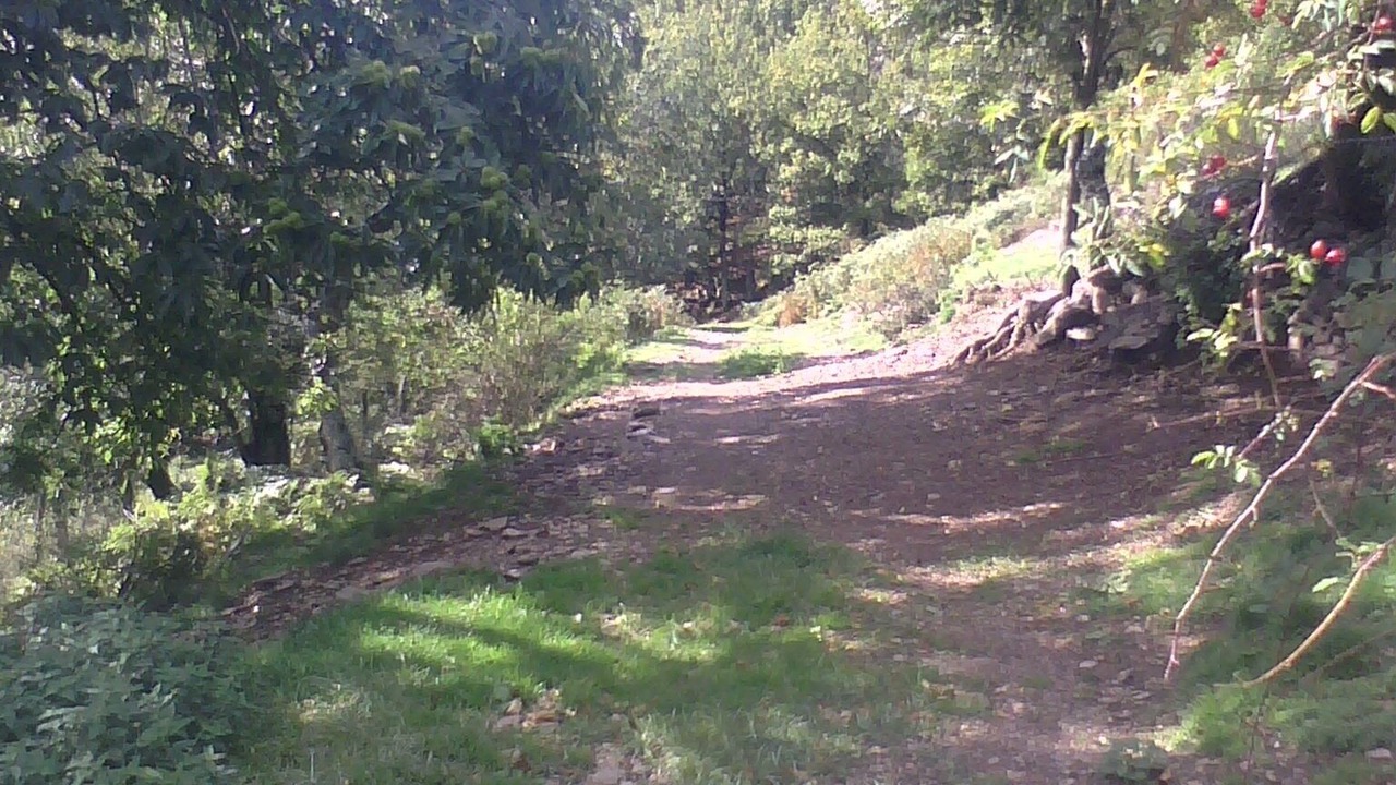 Photo of Outdoor in Prevencheres