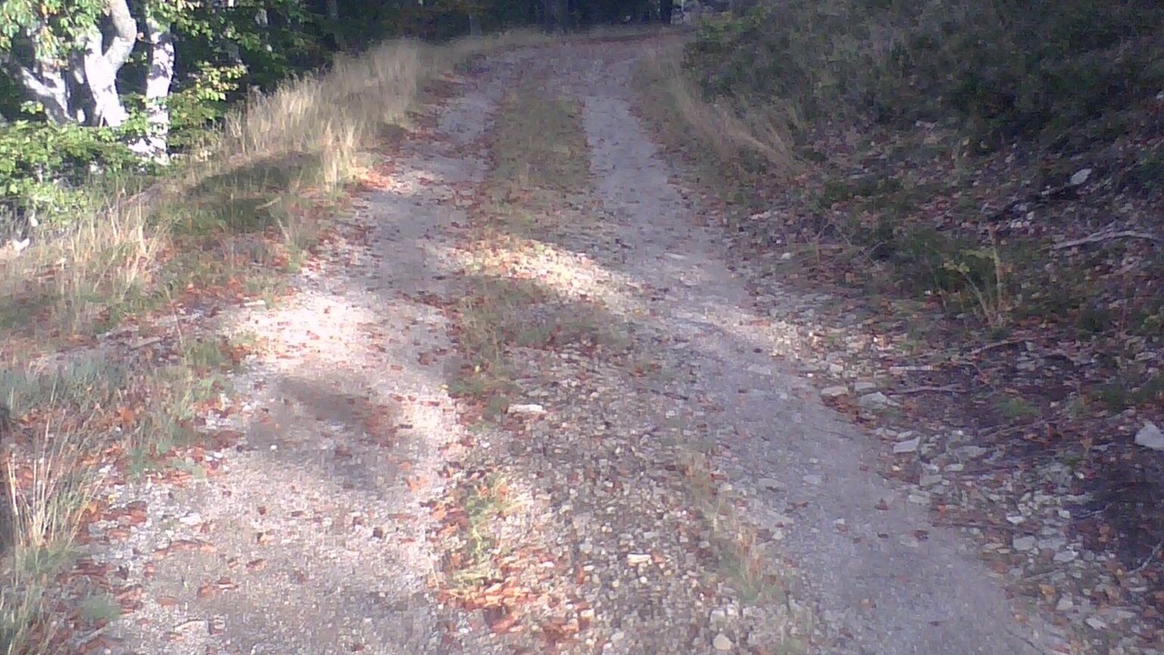 Photo of Outdoor in Prevencheres