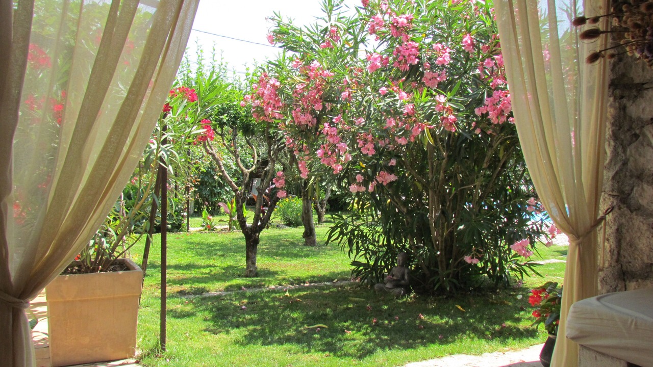 Photo of Outdoor in Lussas