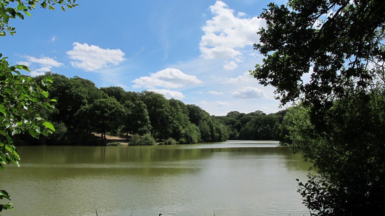 Photo of Others in Hallines