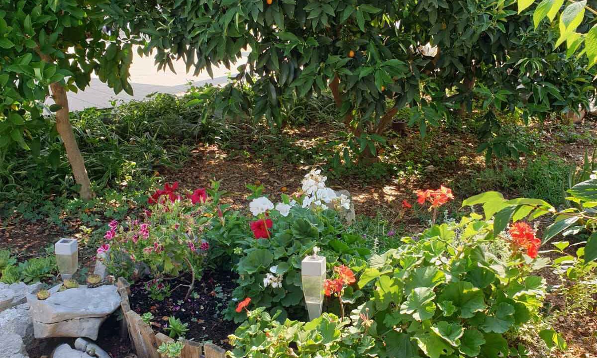 Photo of Outdoor in Pirovac