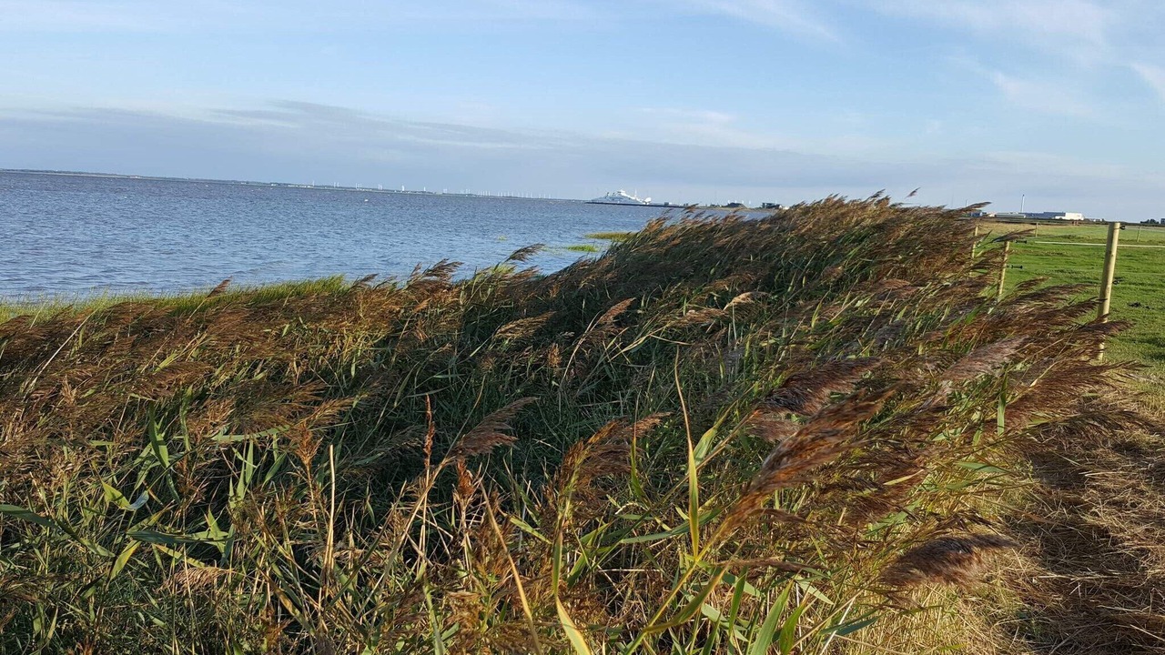 Photo of Others in Sønderstrand