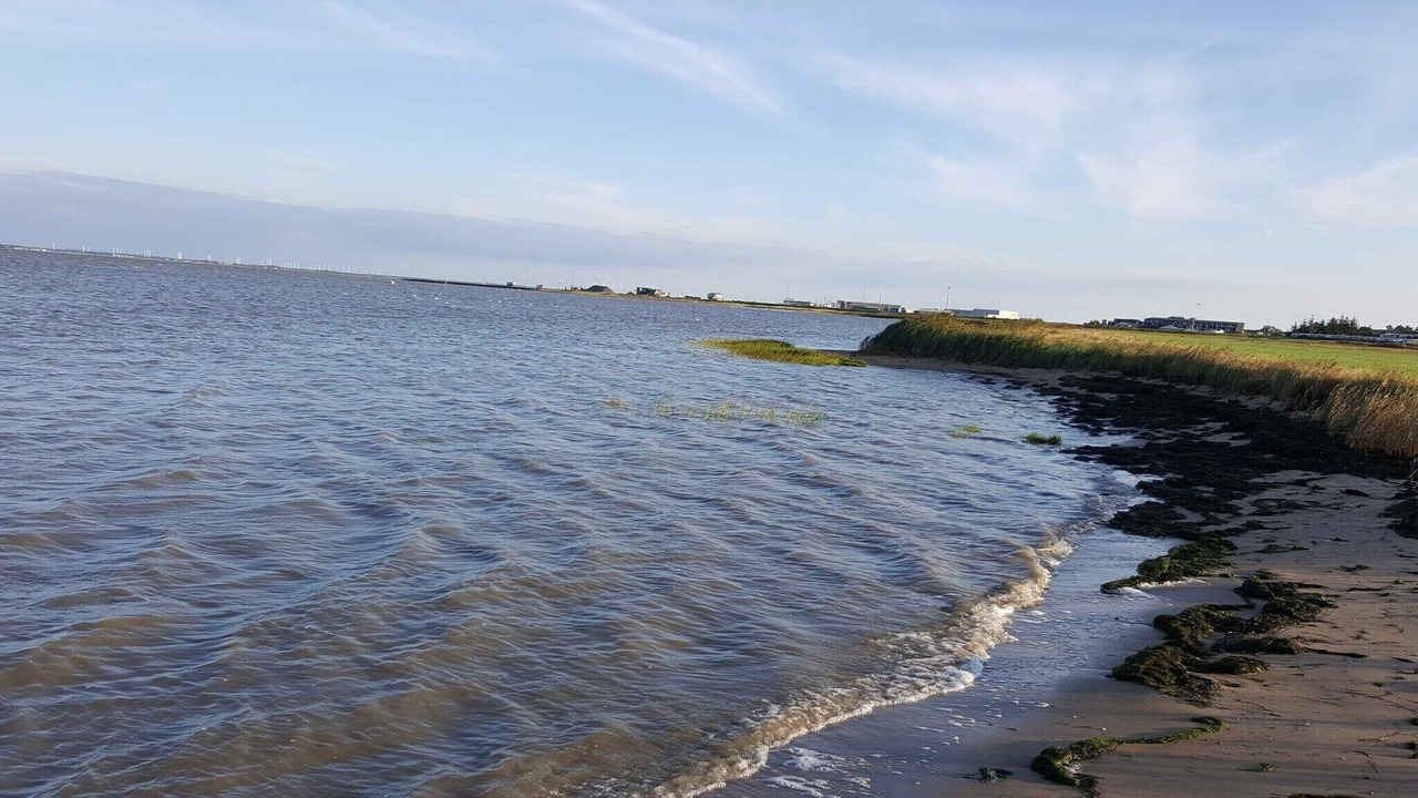 Photo of Others in Sønderstrand