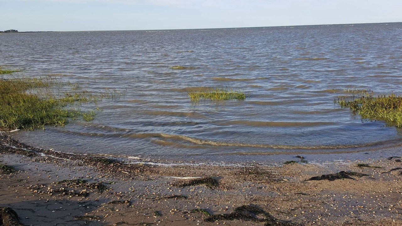 Photo of Others in Sønderstrand
