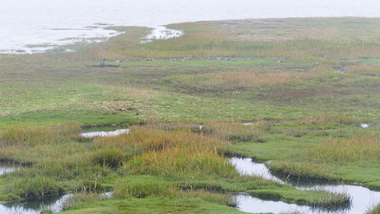 Photo of Others in Sønderstrand