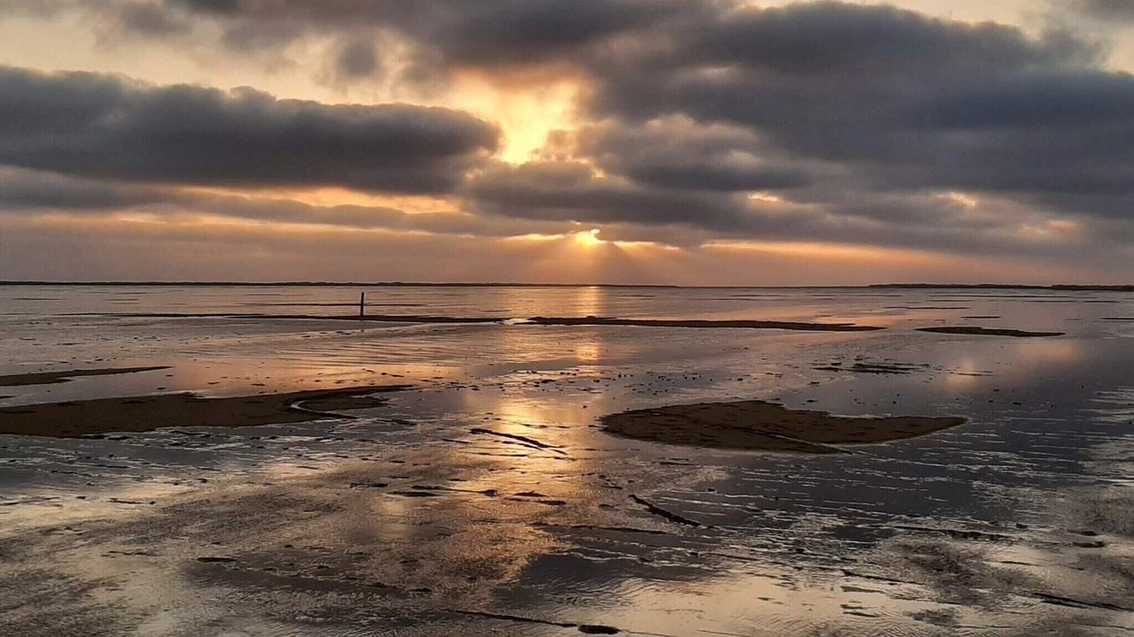 Photo of Others in Sønderstrand