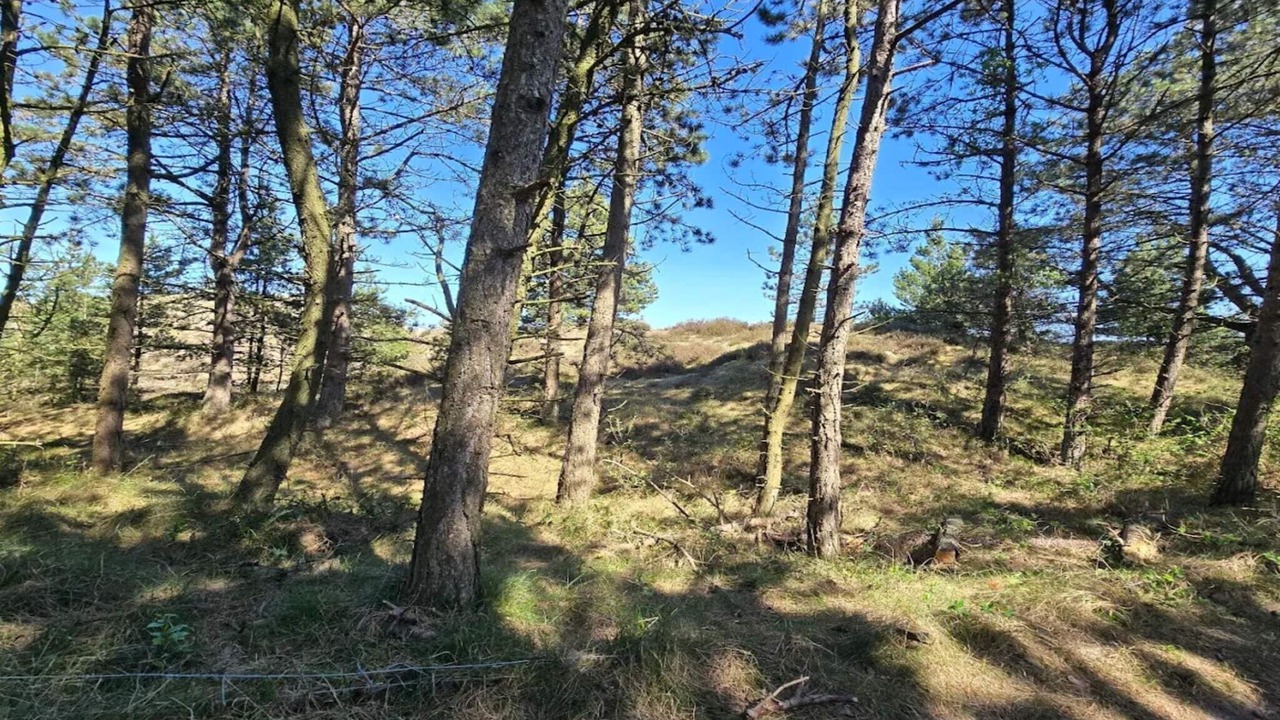 Photo of Others in Sønderstrand