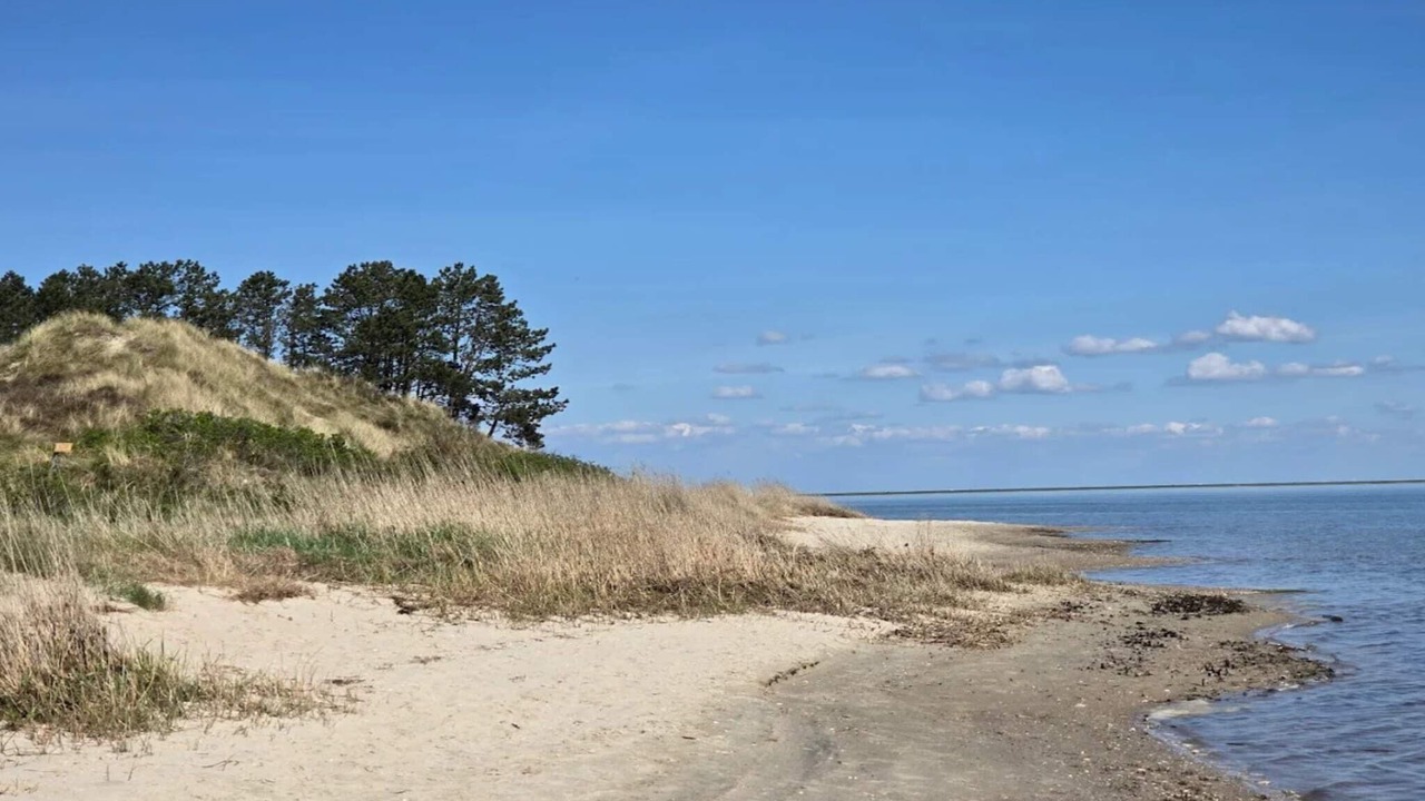 Photo of Others in Sønderstrand