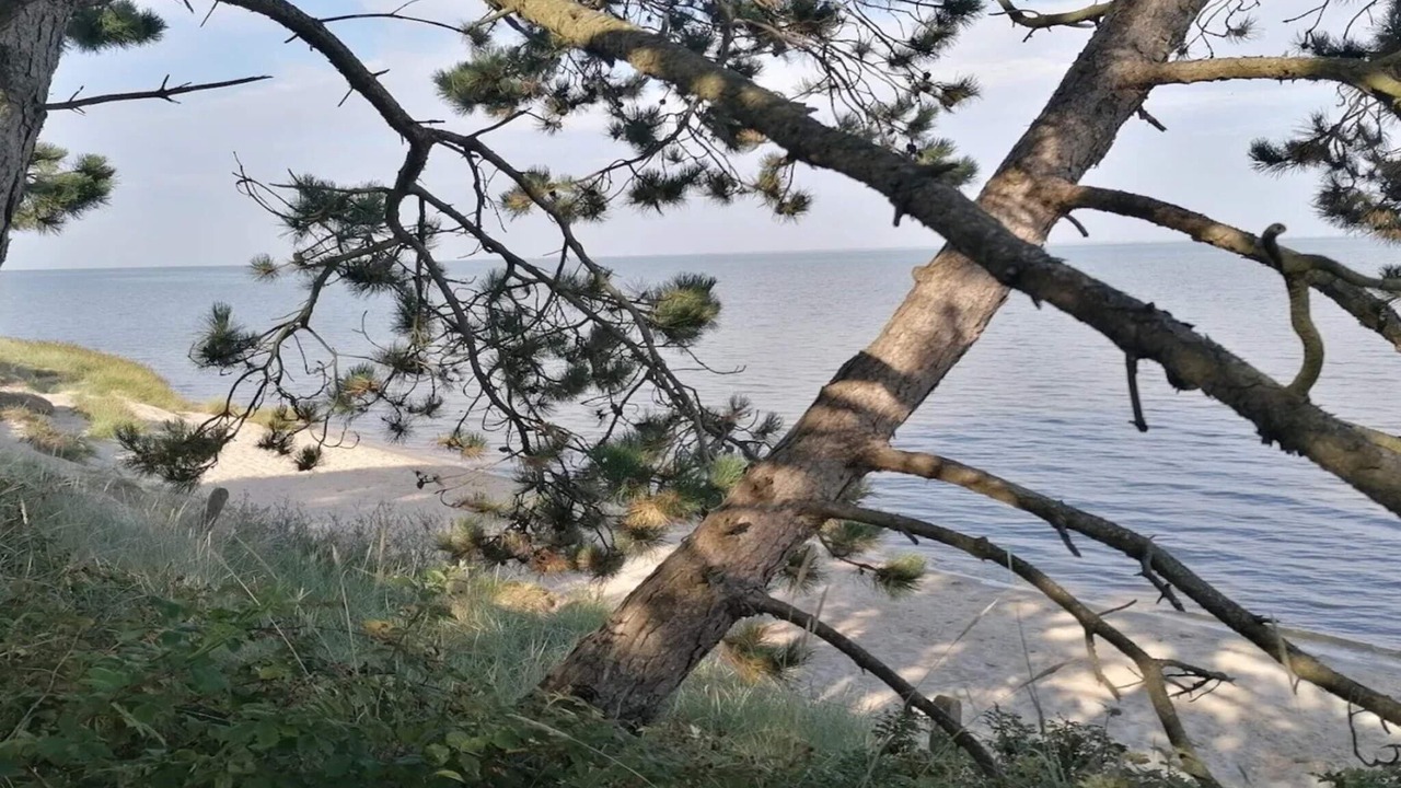 Photo of Others in Sønderstrand