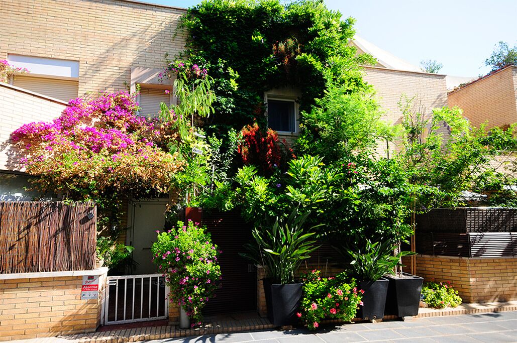 Photo of Outdoor in La Vila Olimpica del Poblenou