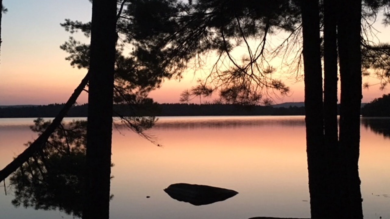 Photo of Others in Lincoln