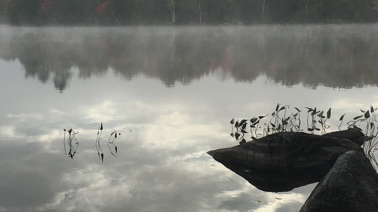 Photo of Others in Lincoln