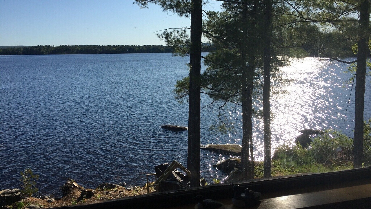 Photo of Others in Lincoln