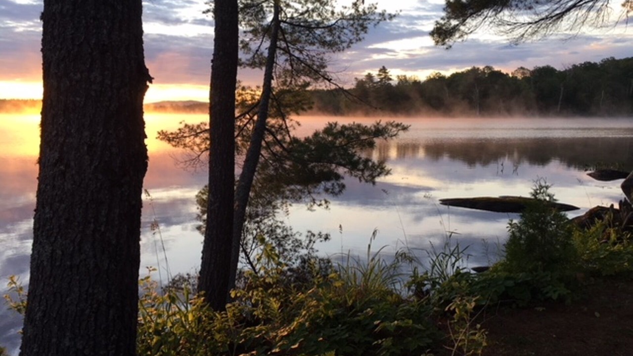 Photo of Others in Lincoln
