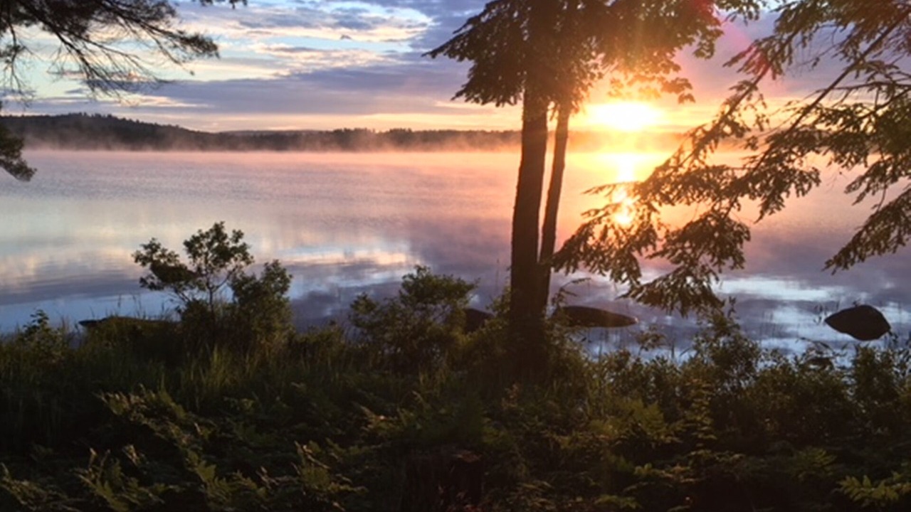 Photo of Others in Lincoln